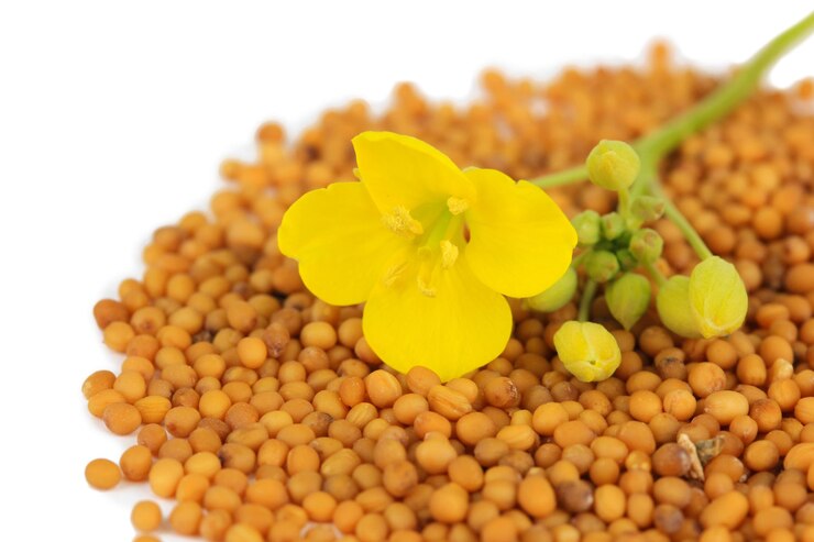 Mustard Seeds